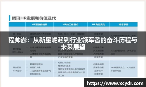 程帅澎：从新星崛起到行业领军者的奋斗历程与未来展望